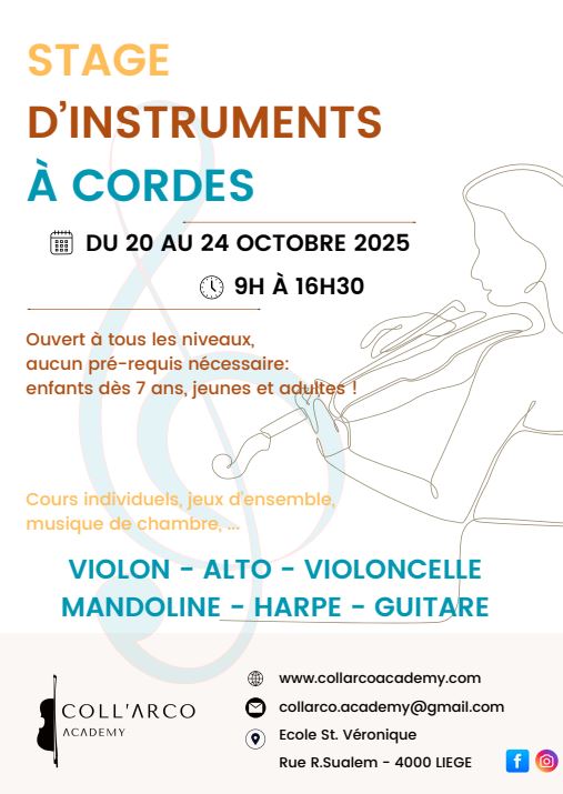 Image Stage d'instruments à cordes ( violon violoncelle guitare mandoline )